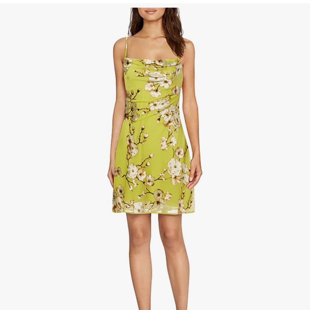 ASTR Floral Green Dress